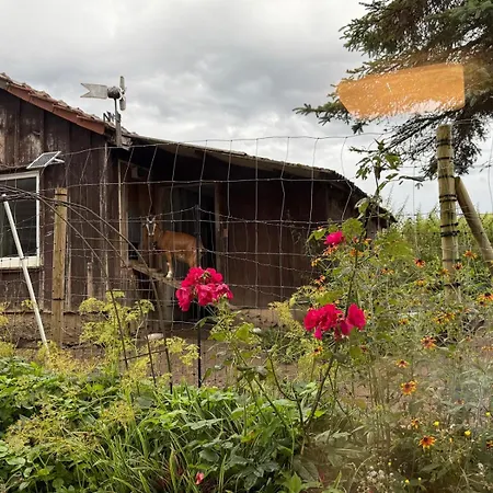 Taelealpakahof * Alpirsbach