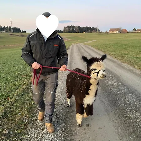 Taelealpakahof Feriehus Alpirsbach