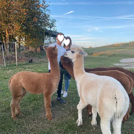 Feriehus Taelealpakahof *