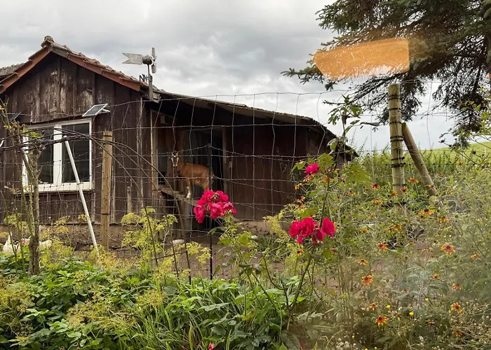 Taelealpakahof * Alpirsbach