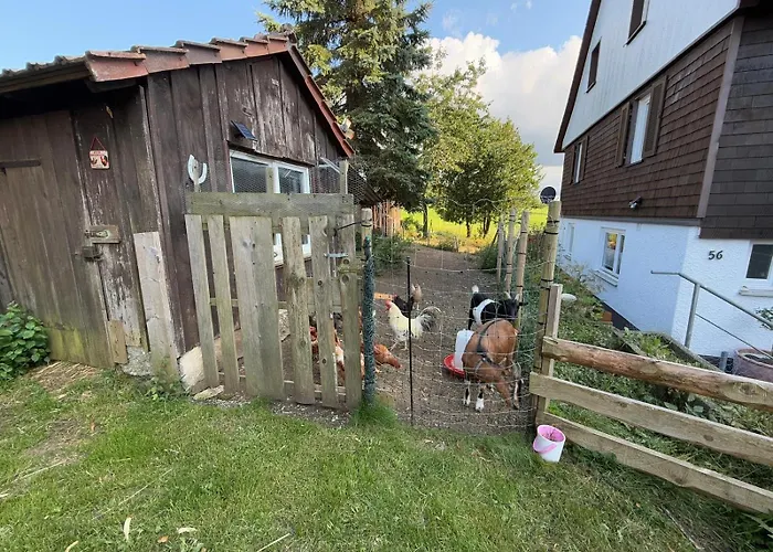 Taelealpakahof Feriehus Alpirsbach