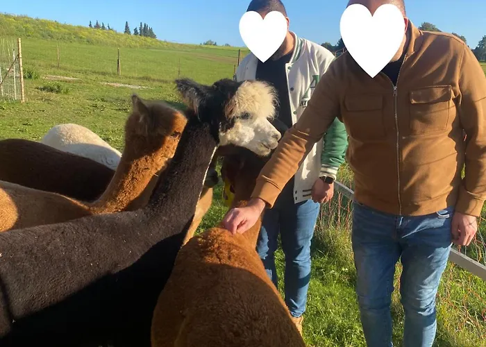 Taelealpakahof Alpirsbach