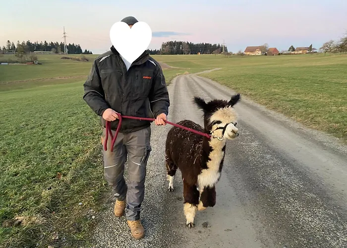 Taelealpakahof Feriehus Alpirsbach