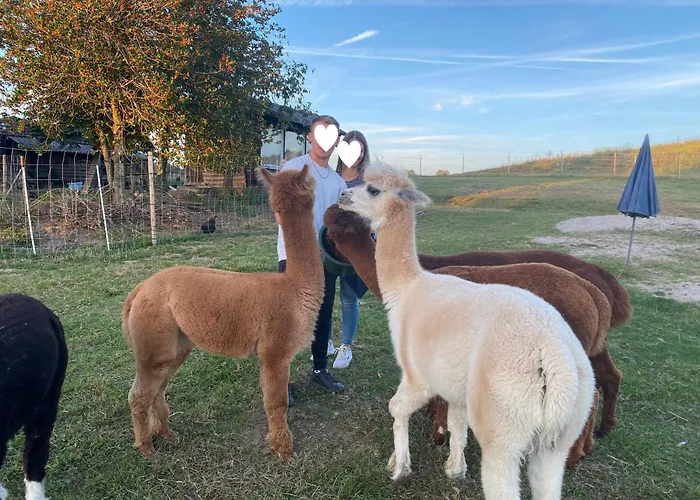 Feriehus Taelealpakahof *